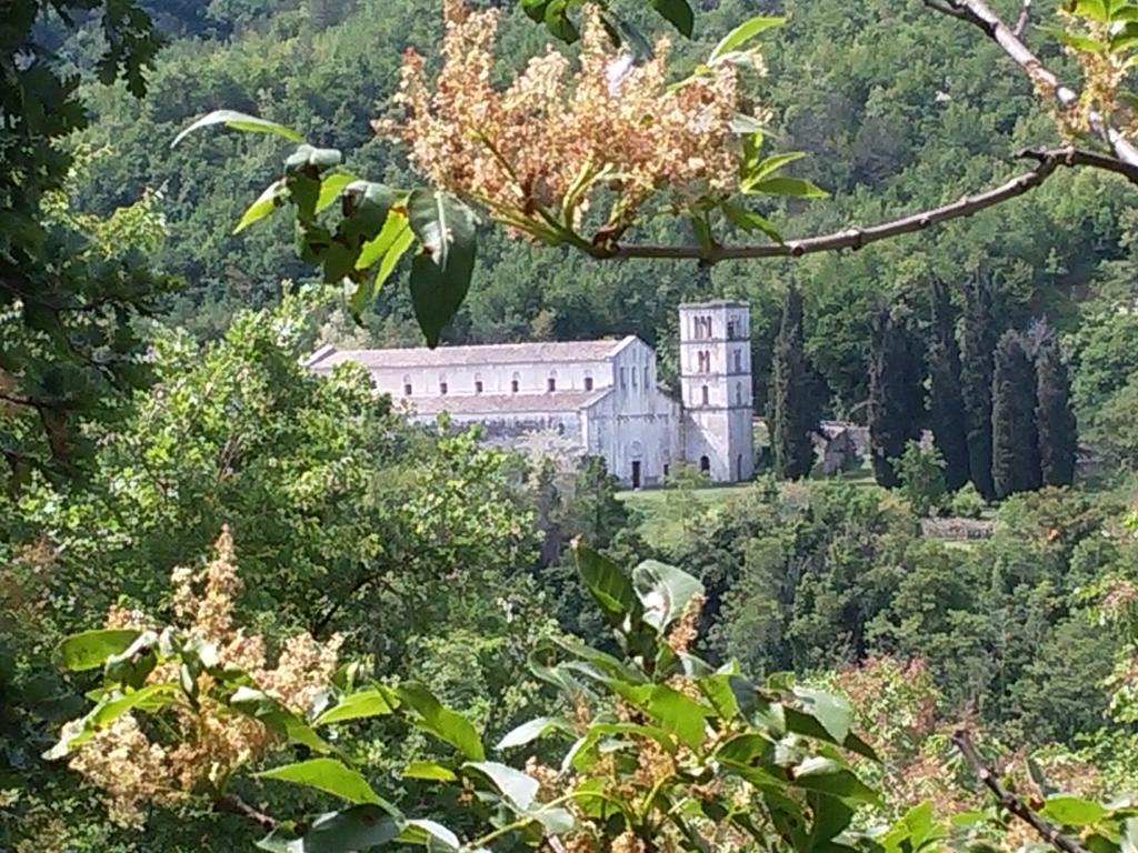 Le Pietre Ricce B&B Roccamontepiano Buitenkant foto